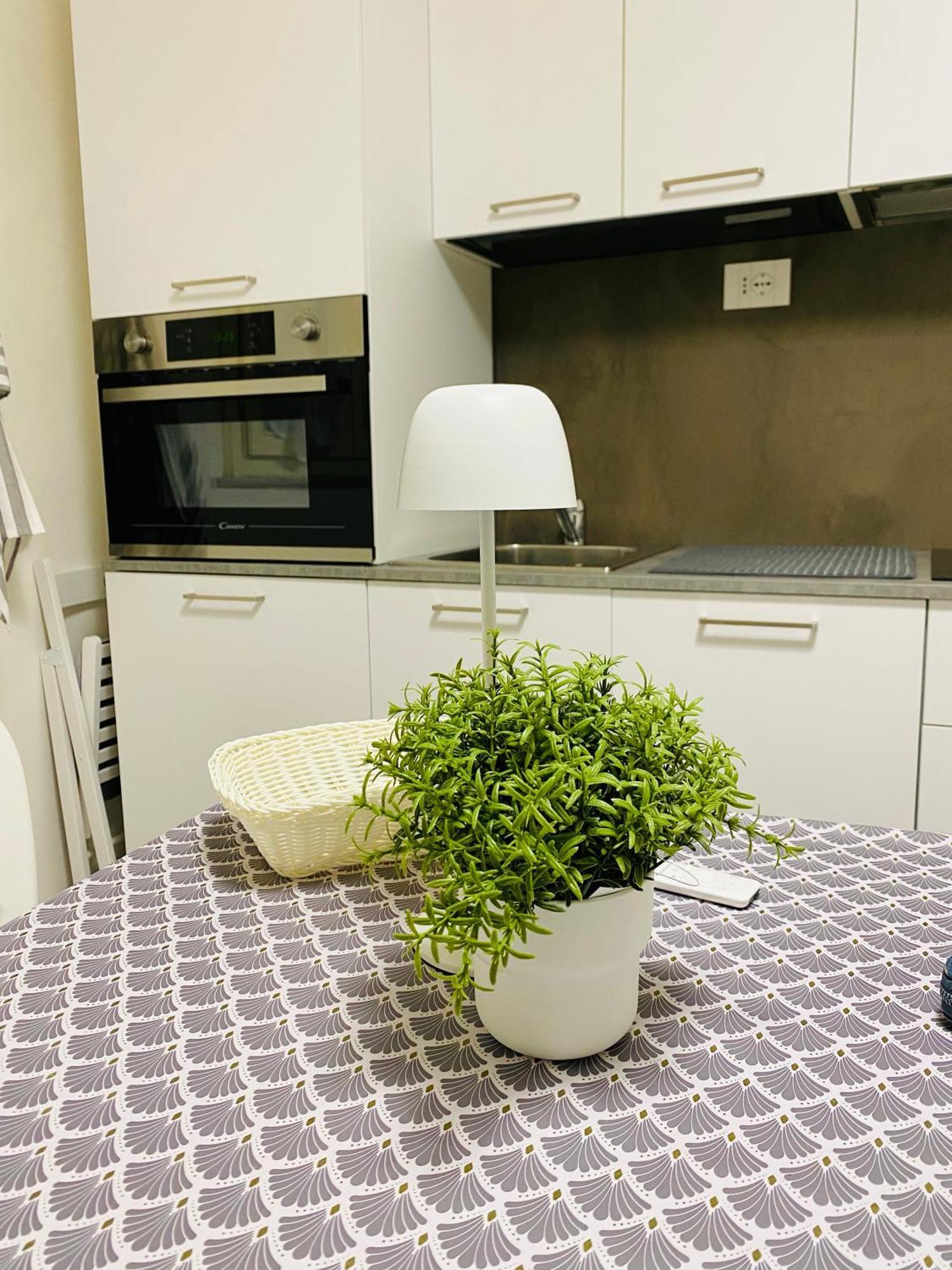 Apartamento II Sogno Nel Vicolo Pisa Exterior foto